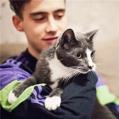 可爱萌萌哒猫咪头像男生版(抖阴个性头像男生抱猫咪系列)