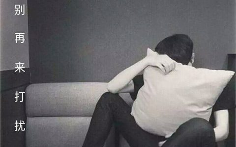 请别再来打扰我(480×480男生快手头像伤感带字)