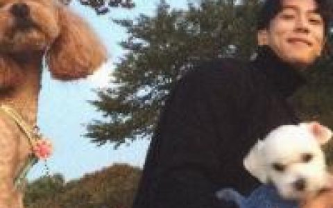 抓不住的东西连伸手都是愚蠢的(喜欢安静生活的男生扣扣头像)