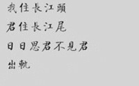 一夜复习两茫茫(抖阴搞笑纯文字头像图片大全)