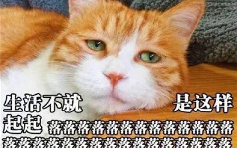 有种思念是想你却不打扰(搞笑可爱动物带字头像情侣一人一张)