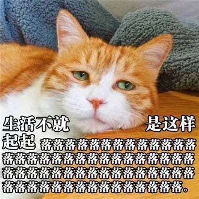 有种思念是想你却不打扰(搞笑可爱动物带字头像情侣一人一张)