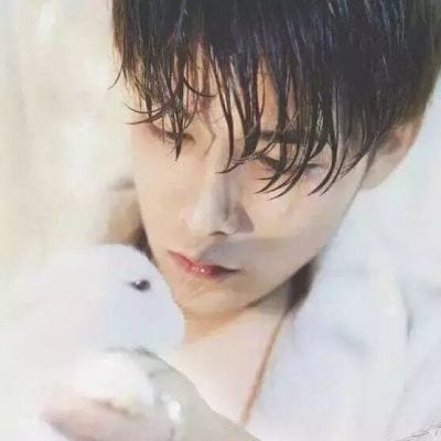 据说喜欢动物的人都很温柔(帅气男生抱动物头像)