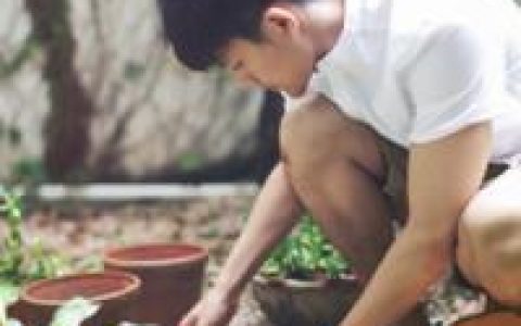 她入我心知我梦(清爽少年意境头像)