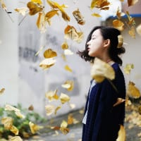 你就像昨夜的一场梦错过就不在(唯美森系女生抖阴头像)
