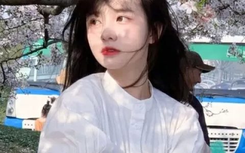 风乍起吹皱草原翠绿的夏梦(ins招财又好运的女生抖阴头像大全)
