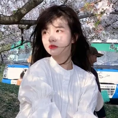 风乍起吹皱草原翠绿的夏梦(ins招财又好运的女生抖阴头像大全)