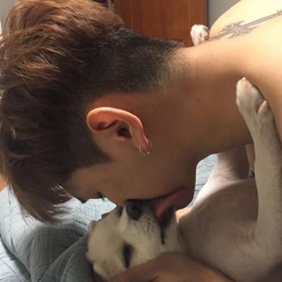 男生猫咪萌头像(最新版抖阴头像男生帅气抱猫咪大全)