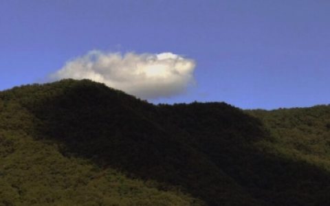 你就是正确答案是他拿错了试卷(最新静物伤感头像孤独)