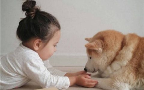 我们一起长大吧(小孩和柴犬可爱头像高清无水印)
