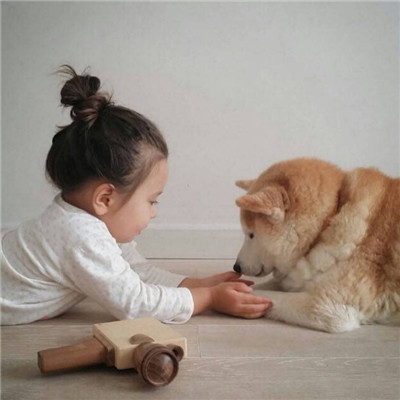 我们一起长大吧(小孩和柴犬可爱头像高清无水印)