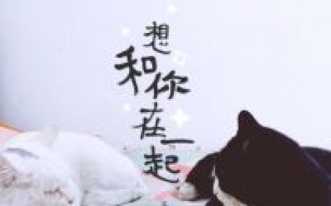 灿烂的笑容照亮我的星空(文艺文字头像女生头像小清新)