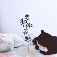 灿烂的笑容照亮我的星空(文艺文字头像女生头像小清新)