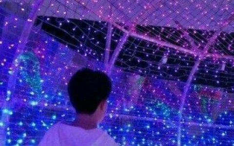 我只是路过请你继续快乐(最新个性情侣背影头像一人一张图)