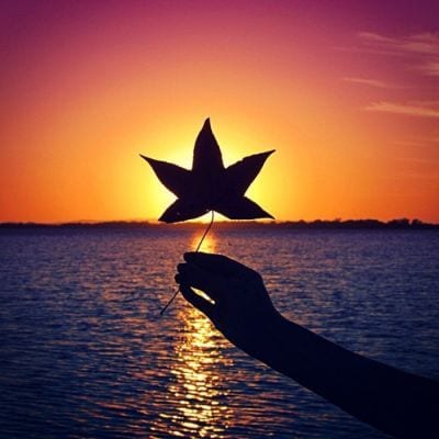 你的齐天大圣在来的路上(唯美内涵有意境的头像景色最新)