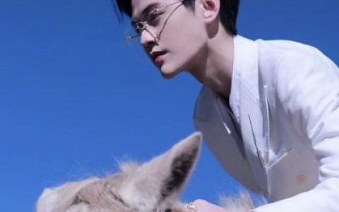 全新很有质感的高级情头(颜值高又很甜的情头大全)