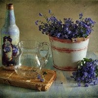 熔金残日晓露云霜(唯美静物花朵头像写真)