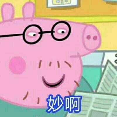 你是风偏偏我还是想拥抱你(小猪佩奇恶搞带字高清头像)