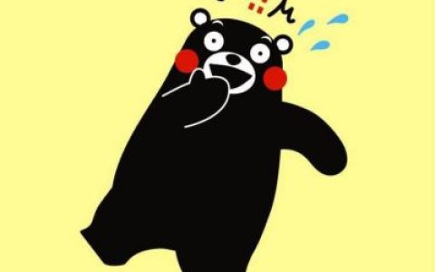 超火的日本熊本熊图片头像(熊本熊头像不带字个性精选)