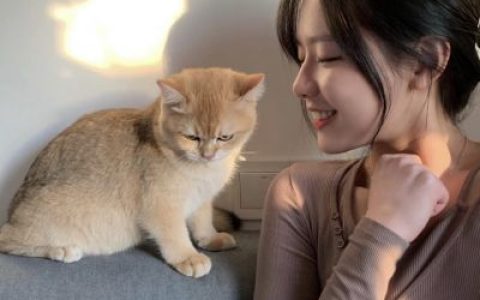 全新魅力又很可爱的女头大全(女生很甜美的又很可爱的头像合集)