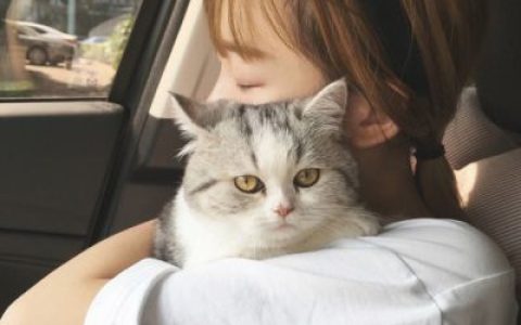 我想做你一生唯一的爱人(唯美意境情侣头像一对图片大全)