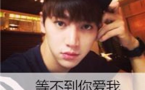 等不到你爱我(最新个性男生头像带字帅气单身)