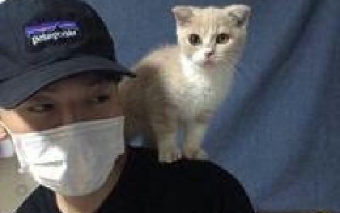 一个人继续走(男生头像帅气阳光抱猫图片集)