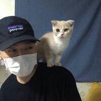 一个人继续走(男生头像帅气阳光抱猫图片集)