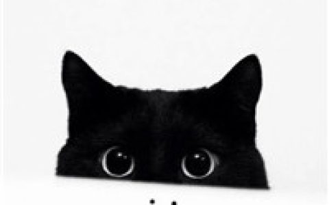 活的像女王才能吸引国王(经典恶搞卡通手绘头像)