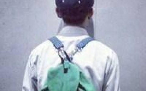我浪或不浪又能怎样(男生头像图片霸气背影排行榜)