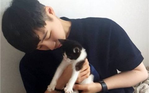 我真的好想和你躲一辈子猫猫(男生抱猫头像高清图片)