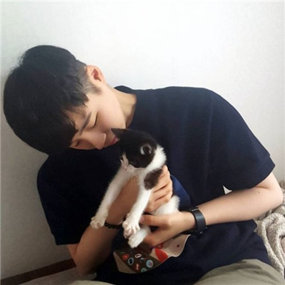 我真的好想和你躲一辈子猫猫(男生抱猫头像高清图片)