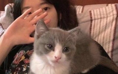你也要做一一个很哇塞的女孩(一组抱着猫的高颜值女生头像)