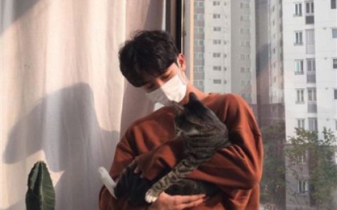 我是一只爱晒太阳的小懒猫(男生抱猫头像高清图片)