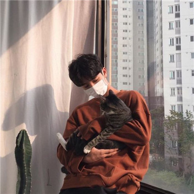 我是一只爱晒太阳的小懒猫(男生抱猫头像高清图片)