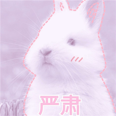 萌萌哒小兔子你喜欢吗(小兔子可爱超萌头像带字精选)