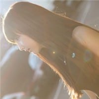 个性优雅的女生头像_结局终究是会美好的