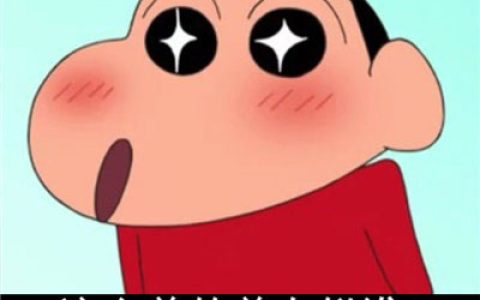 好看好玩的蜡笔小新头像(最新蜡笔小新带字头像可爱搞怪)
