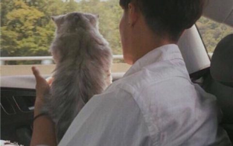 我努力颠覆世界只为摆正你的身影(可爱男生意境头像大全)