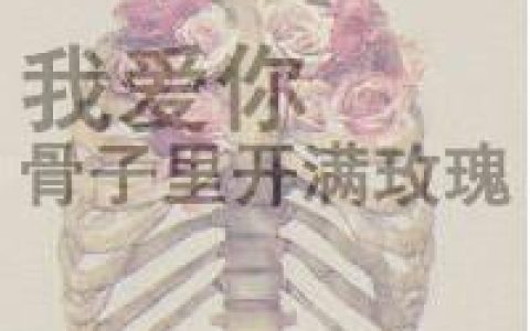 原谅这世界没有童话(好看的意境文字头像大全)