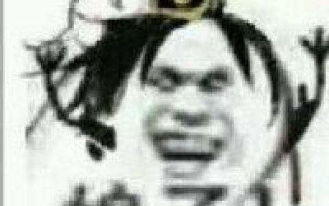 娘子啊哈两只狗的情侣头像(娘子啊哈情侣头像最流行)