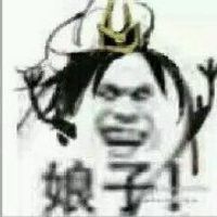 娘子啊哈两只狗的情侣头像(娘子啊哈情侣头像最流行)