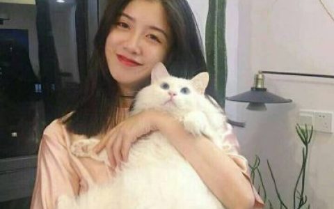 穷其一生追求的只是一份最单纯的感情(女生非主流可爱头像精选)