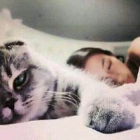 你是我年复一年的思念(特别有爱的情侣头像独一无二)