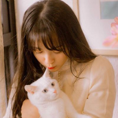 小清新女生手抱动物头像(最新气质美女和萌猫咪头像大全)