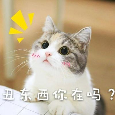 人心对人心你真我就真(可爱猫咪头像带字高清最新)
