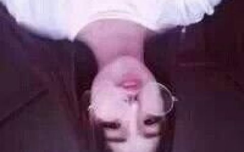 你是我随叫随到的保镖(抖阴情侣头像两人两张)