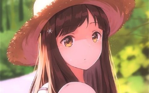 动漫女生头像480×480快手专用(女生快手头像动漫可爱小清新)