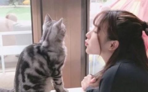 你不爱我我不怪你(超好看的气质美女头像可爱搞怪)