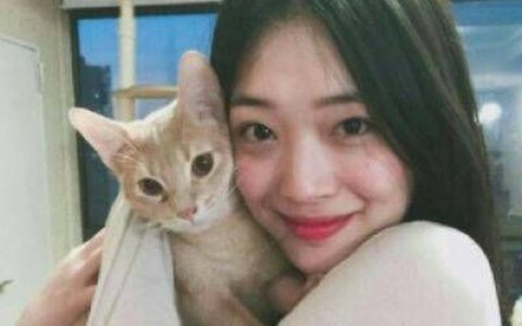我就是喜欢动物的小仙女(气质女生和可爱小动物头像)